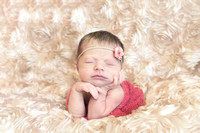Aubrey Moorehead Newborn
